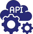 Custom API Integrations